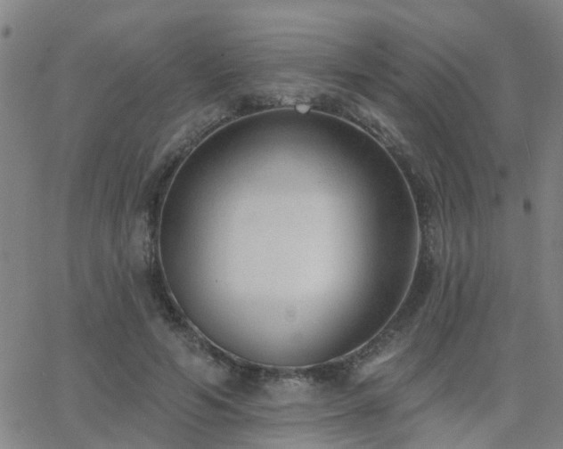 X0000062610594200512211139