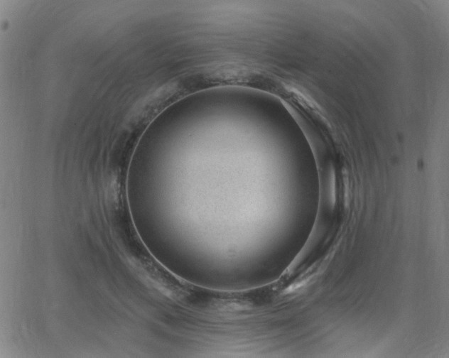 X0000062610597200512211139