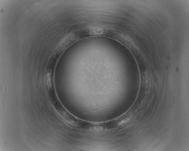 X0000062610598200512211139