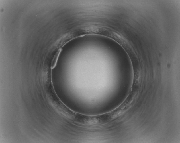 X0000062610600200512211139