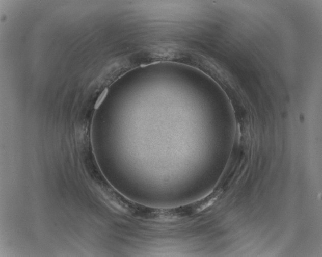 X0000062610601200512211139