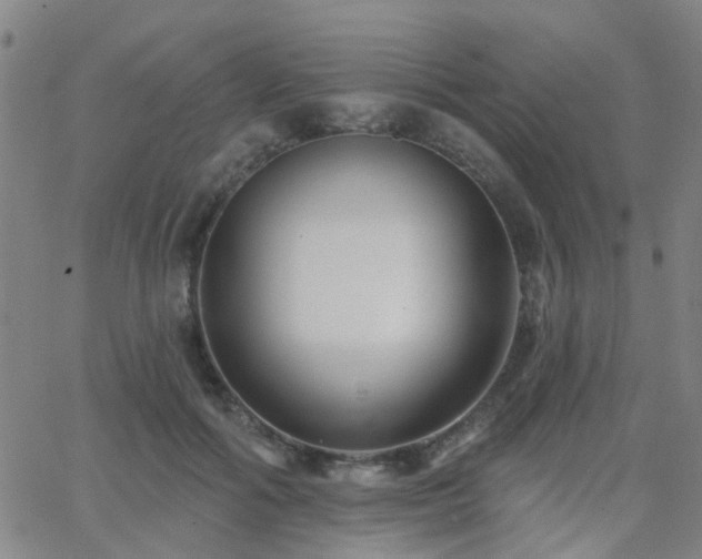 X0000062610602200512211139