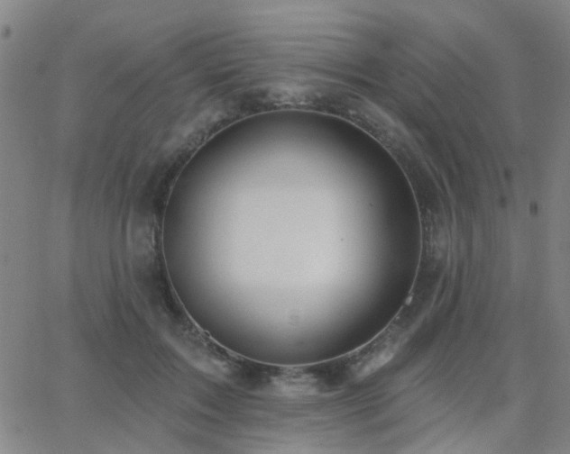 X0000062610603200512211139