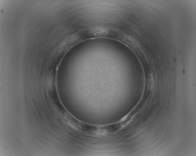 X0000062610604200512211138