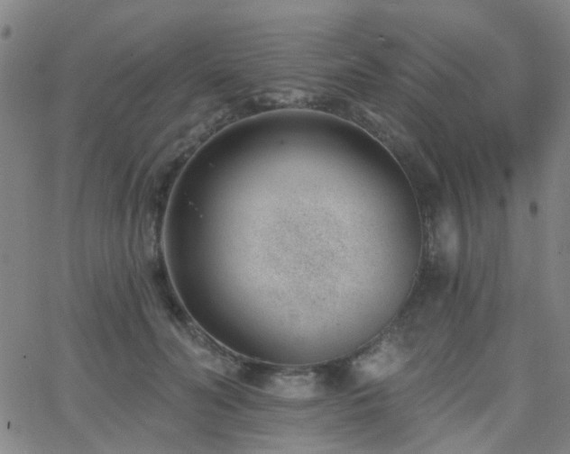 X0000062610606200512211138