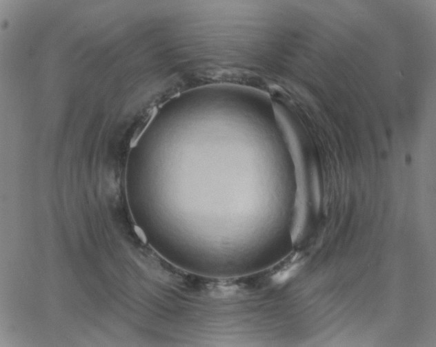 X0000062610607200512211138