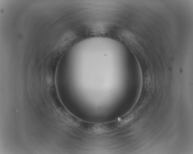 X0000062610608200512211138