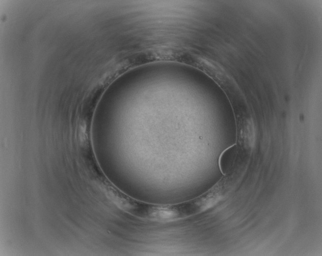 X0000062610610200512211138