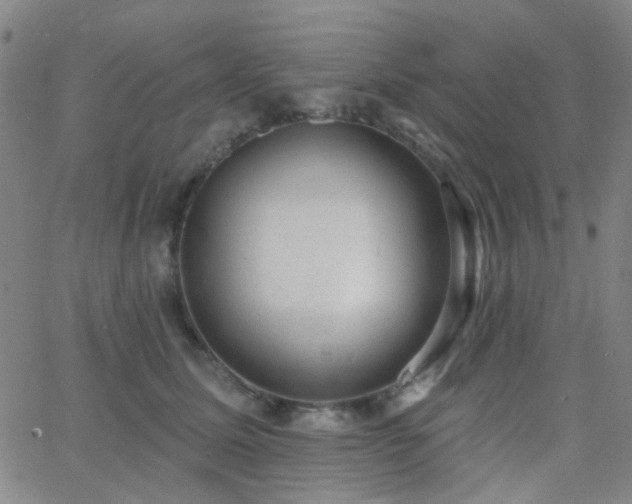 X0000062610611200512211138