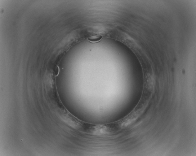 X0000062610612200512211138