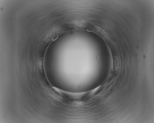 X0000062610613200512211138