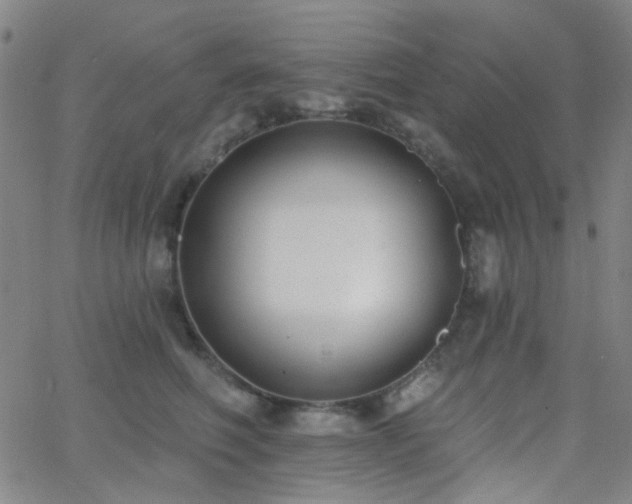 X0000062610614200512211138