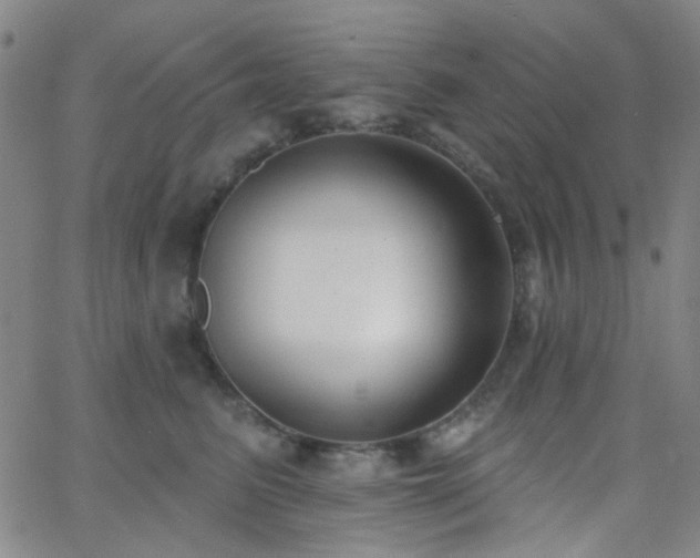 X0000062610615200512211138