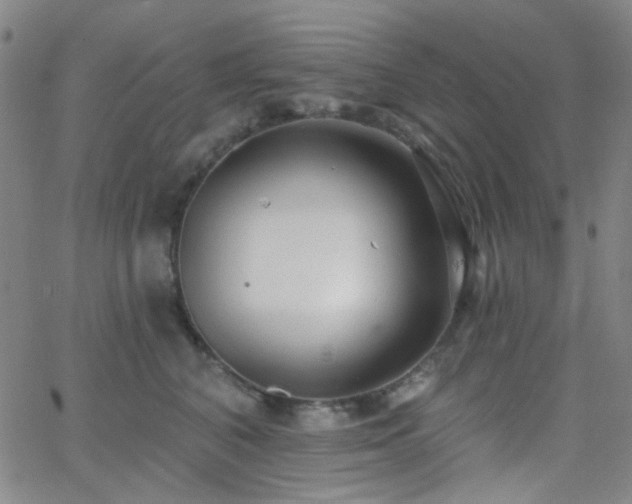 X0000062610616200512211138