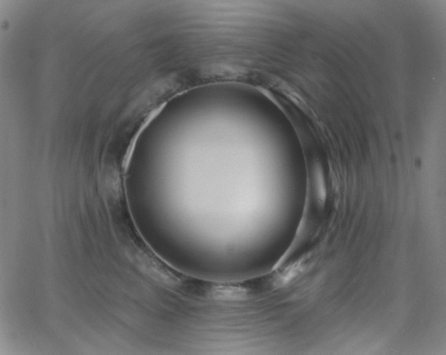 X0000062610617200512211138