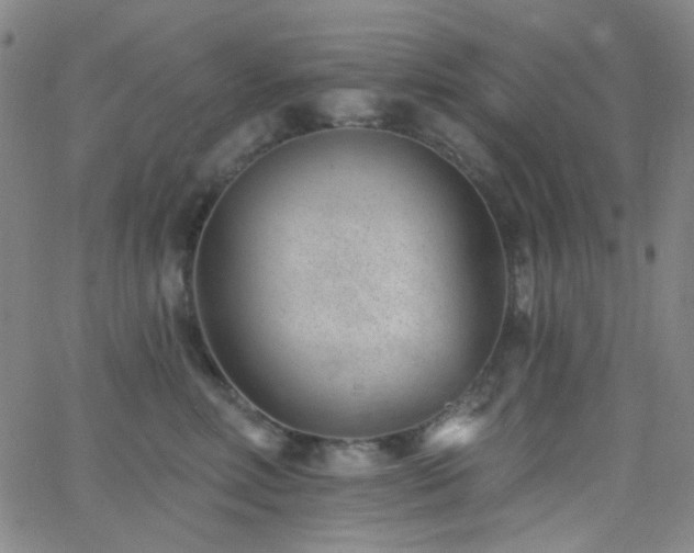 X0000062610618200512211138