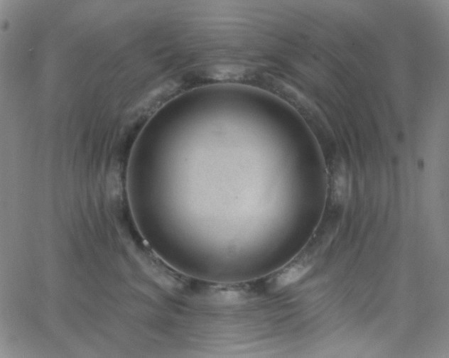 X0000062610620200512211138