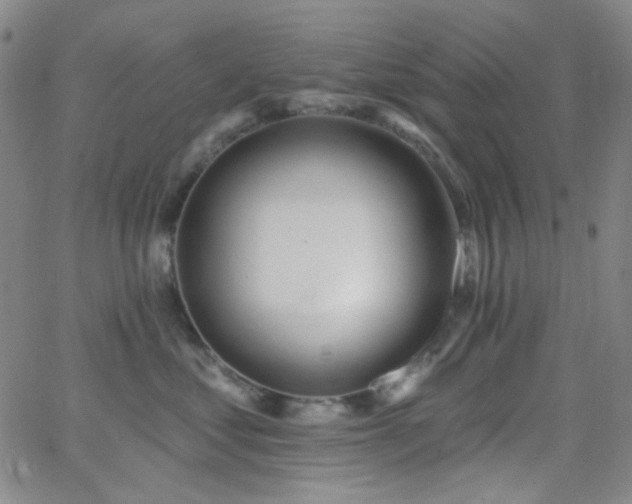 X0000062610621200512211138