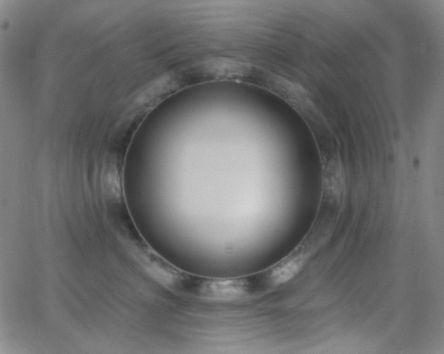 X0000062610622200512211138