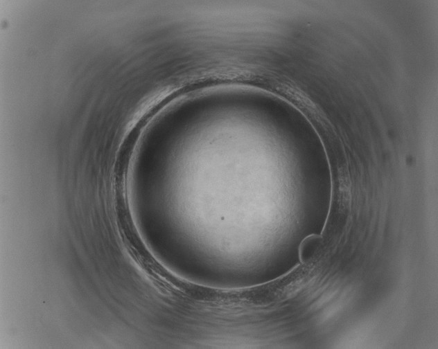 X0000062610626200512211137