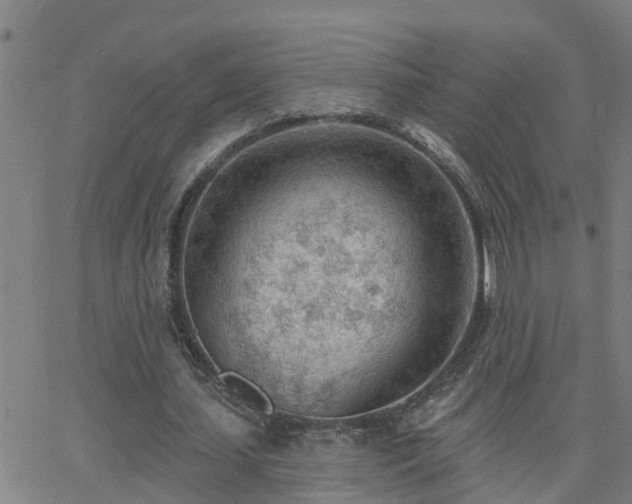 X0000062610627200512211137