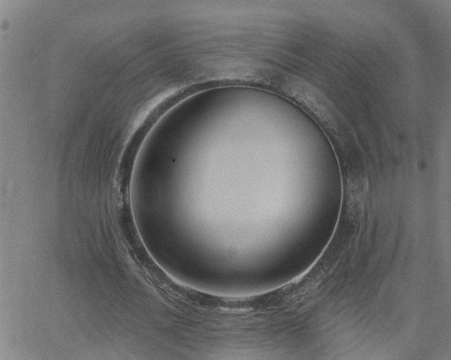 X0000062610628200512211137