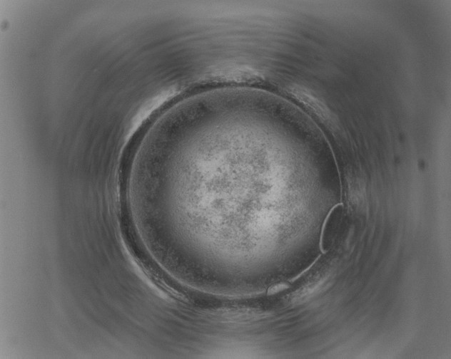 X0000062610630200512211137