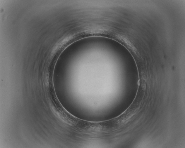 X0000062610631200512211137