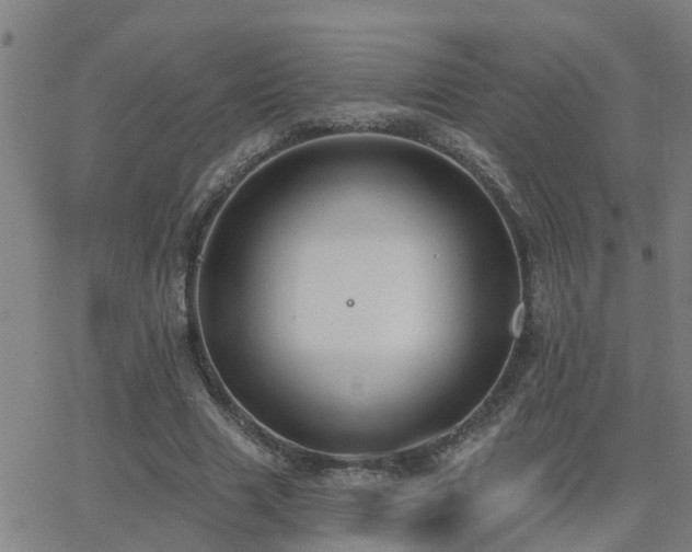 X0000062610633200512211137