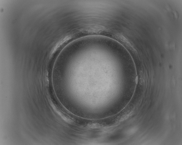 X0000062610634200512211137