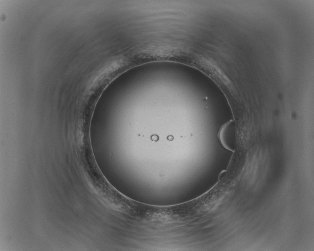 X0000062610635200512211138