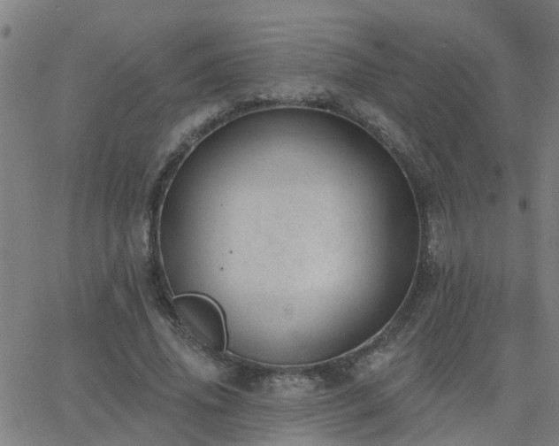 X0000062610636200512211138