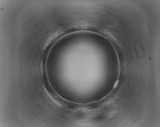 X0000062610638200512211138