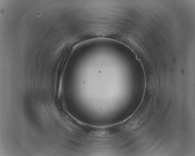 X0000062610639200512211138