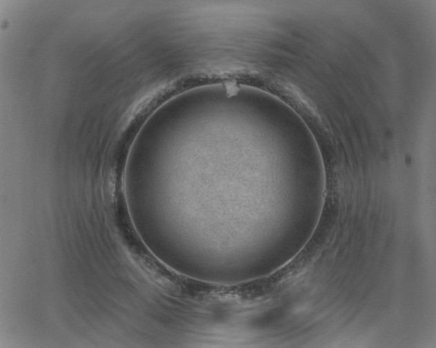 X0000062610640200512211138