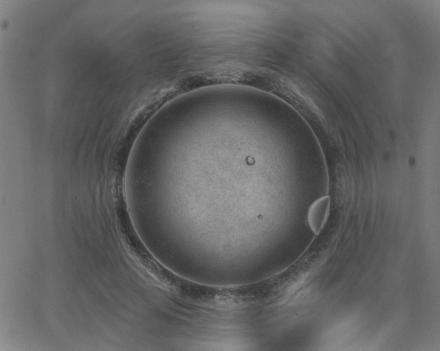 X0000062610641200512211138