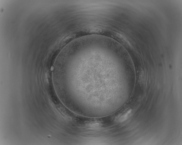 X0000062610643200512211138