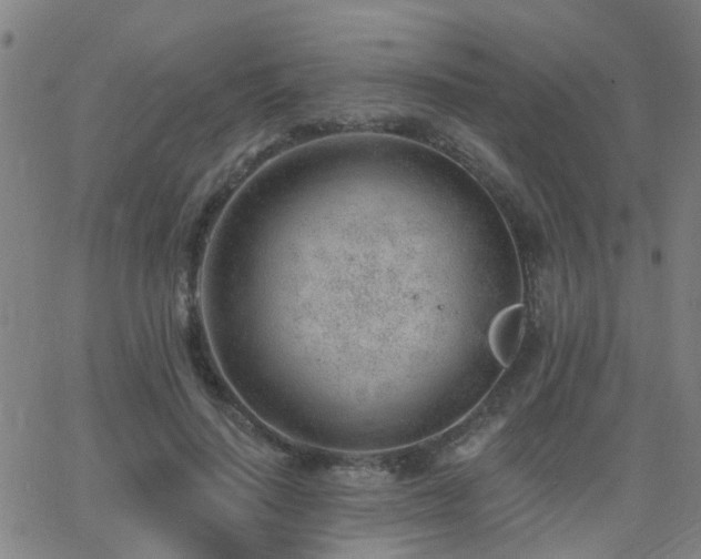 X0000062610644200512211138