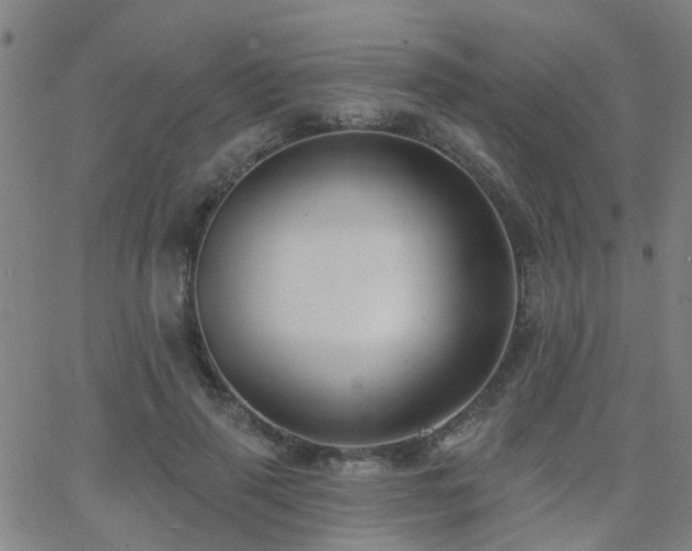 X0000062610645200512211138