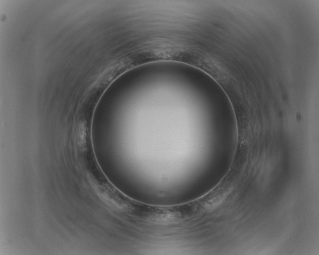 X0000062610646200512211138