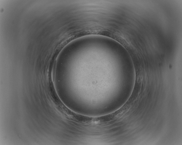 X0000062610647200512211138