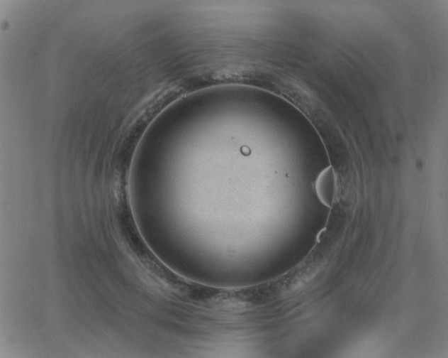 X0000062610648200512211138