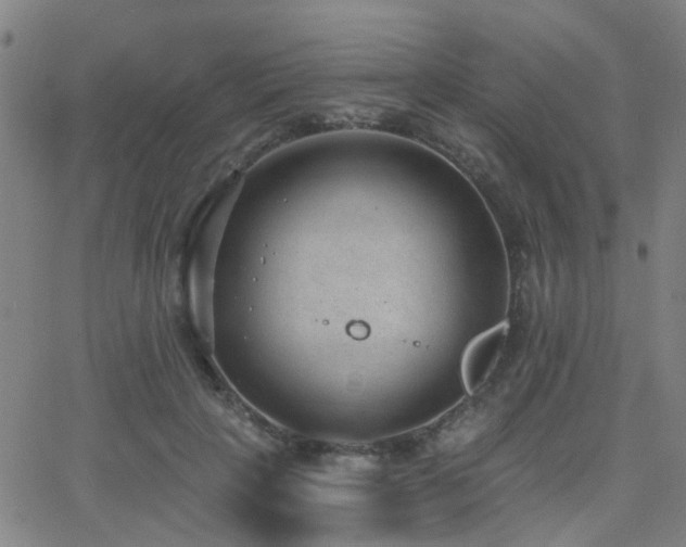 X0000062610649200512211138