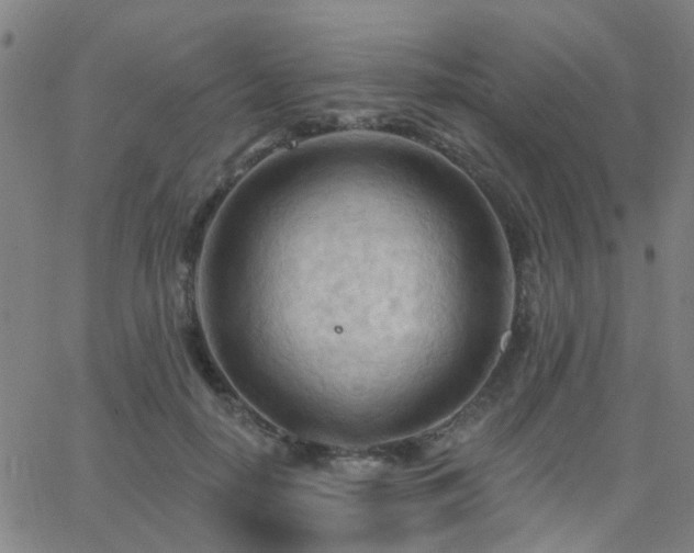 X0000062610650200512211138