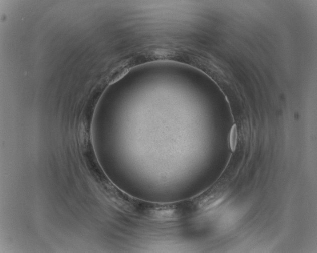 X0000062610651200512211138