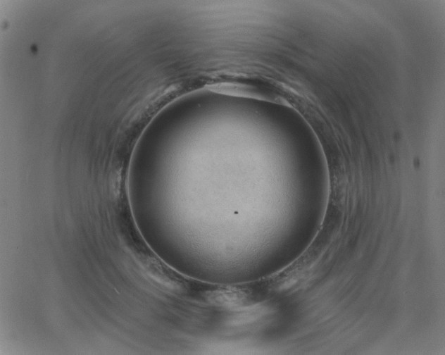 X0000062610652200512211138