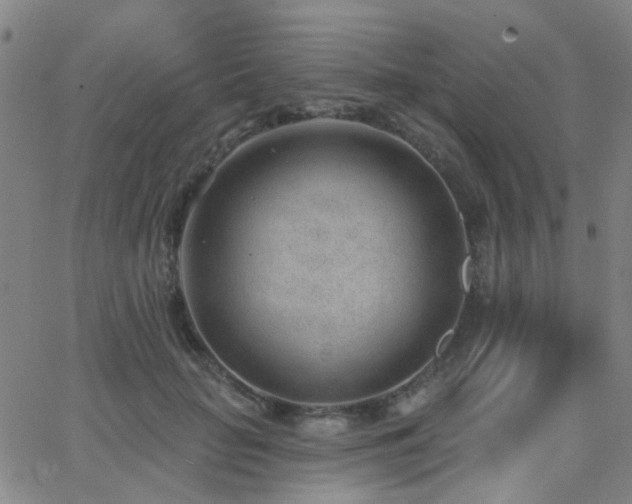 X0000062610653200512211138