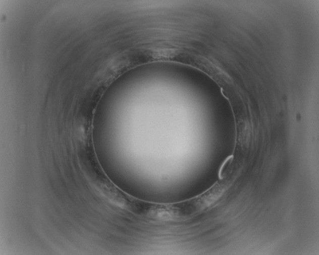 X0000062610655200512211138