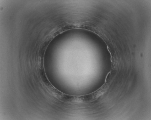 X0000062610656200512211138