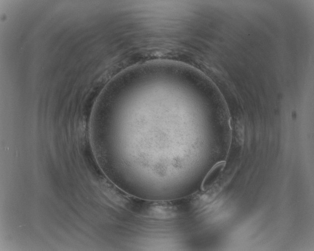 X0000062610657200512211138